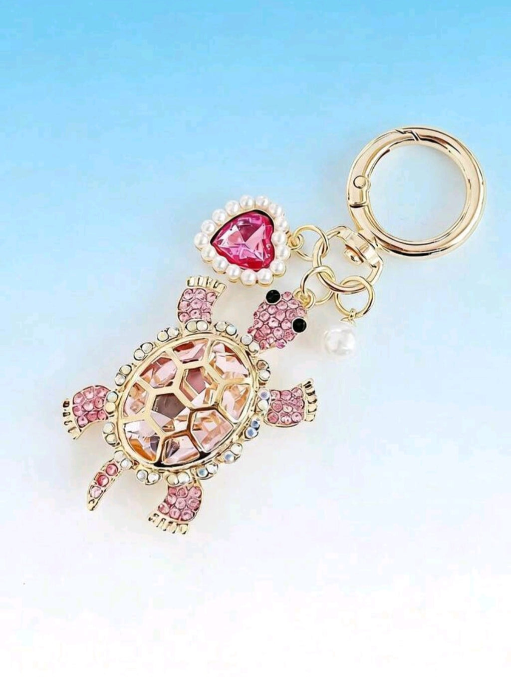 Turtle keychains