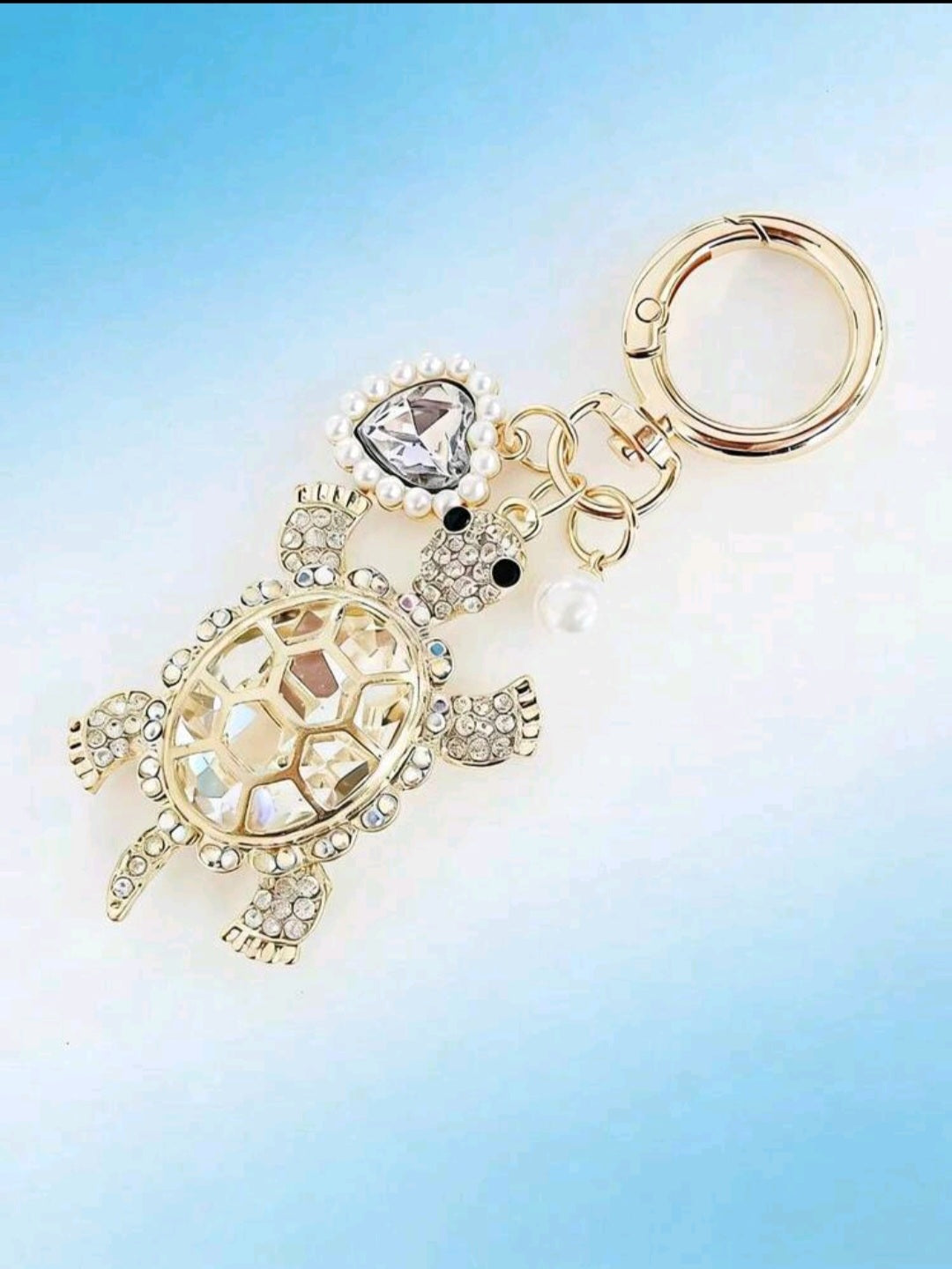 Turtle keychains