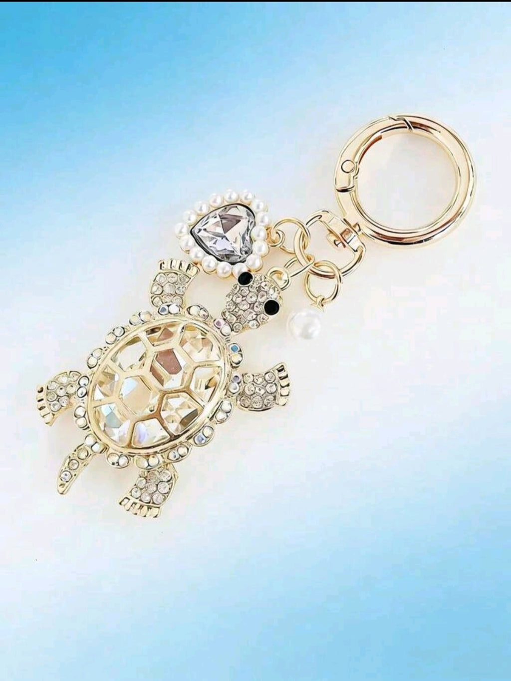 Turtle keychains