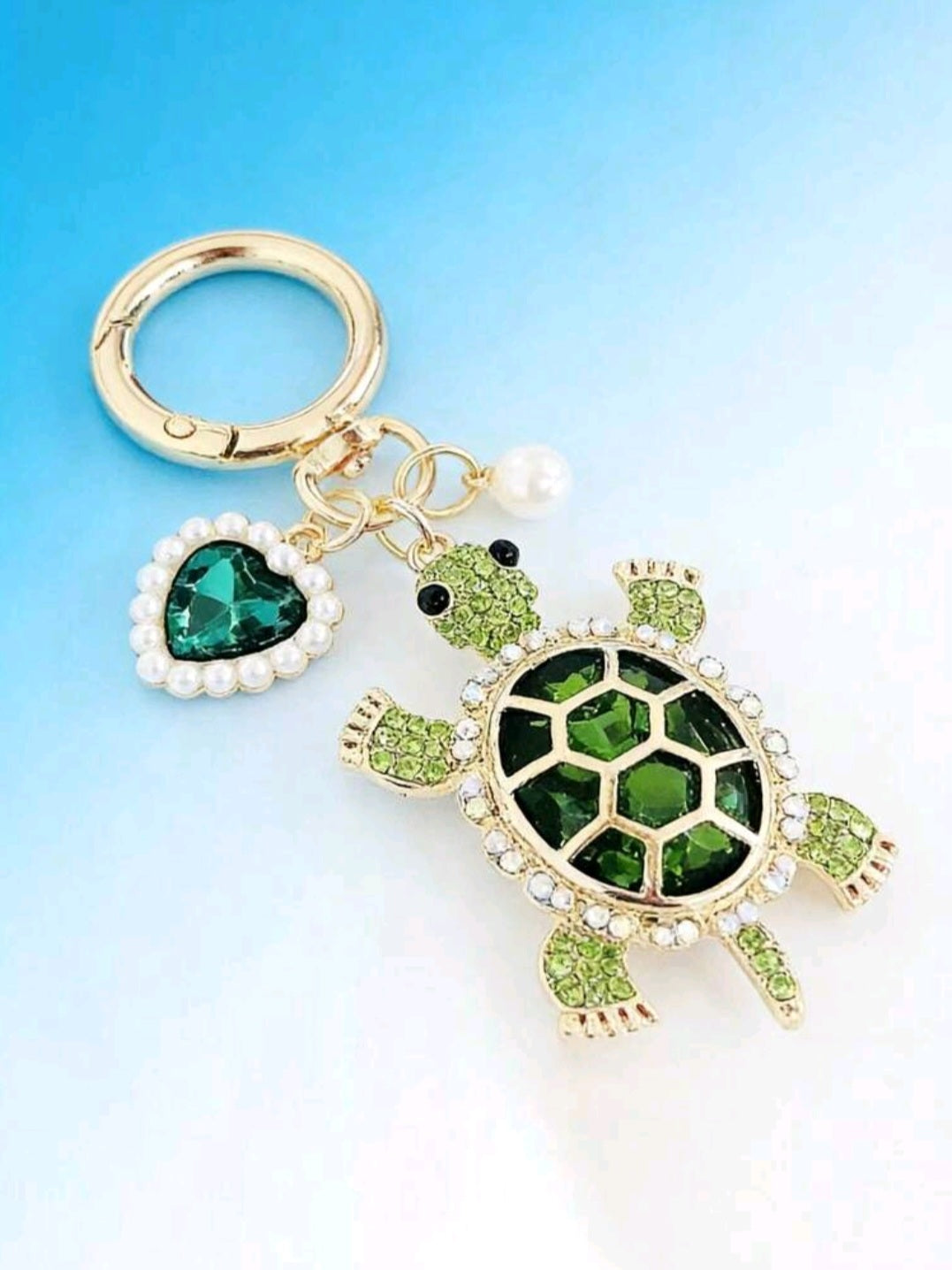 Turtle keychains